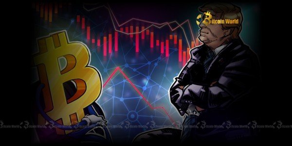 Unveiling the Critical Truth: Is Your Bitcoin Treasury Strategy Truly Sustainable?