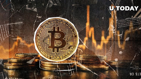Top Trader: Bitcoin Has Not Bottomed Yet Top Trader: Bitcoin Has Not Bottomed Yet