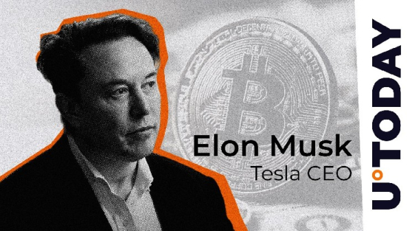 Cracking Satoshi&rsquo;s Wallets? Elon Musk Weighs In