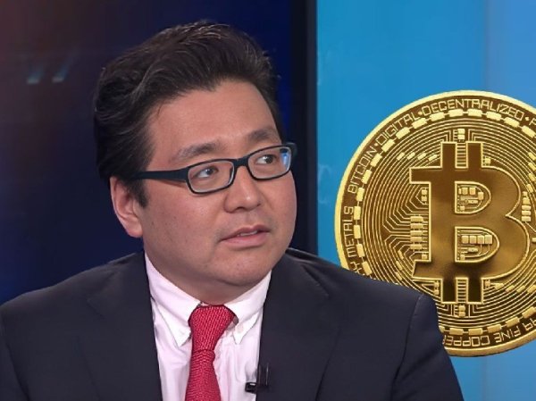 Bullish Expert Tom Lee Explains Why Bitcoin Could Not Rise!