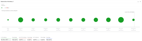 100% of Bitcoin Addresses in Profit, What's Next for BTC's Price?