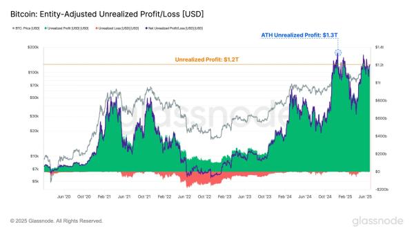 Bitcoin investors are up $1.2T in unrealized profit, but it's a double-edged sword Bitcoin investors are up $1.2T in unrealized profit, but it's a double-edged sword