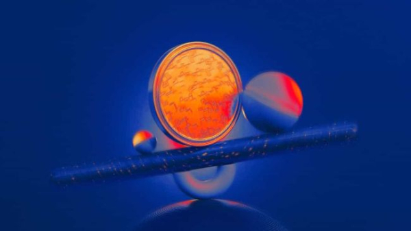 Bitcoin's third flop at $110K puts bulls at risk: BTC price levels to watch