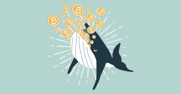 Smart Bitcoin Whale Makes Over $90 Million Profit in Nine Months